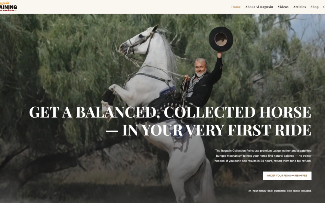 Complete Brand & Digital Transformation: Training Your Own Horse